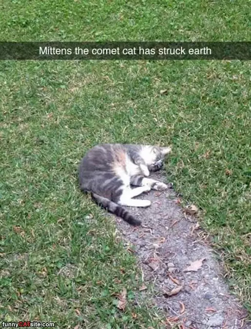 Mittens The Comet