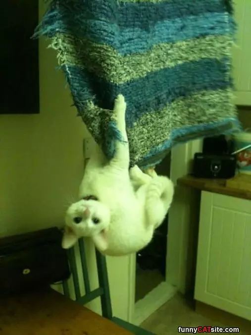 Hanging Around