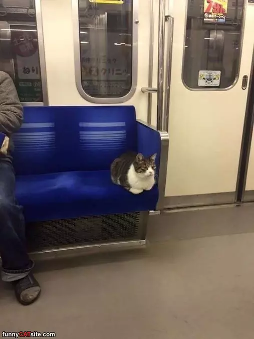 Riding The Train