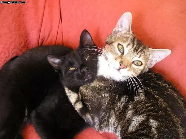 Big Hugs