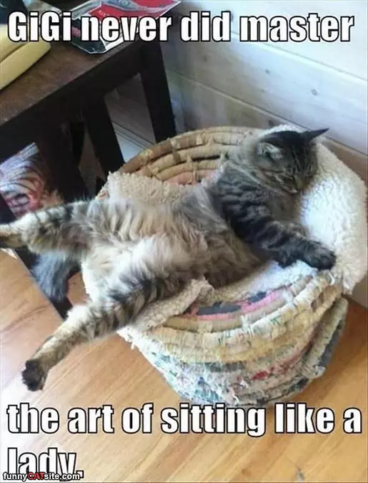 Sitting Like A Lady