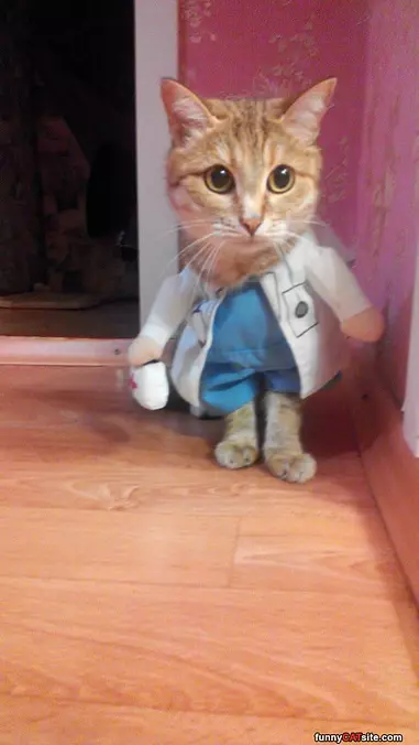 Got My Cool Suit On