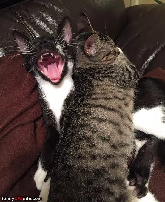 Get Offff