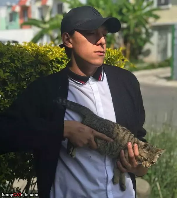 The Cat Gun