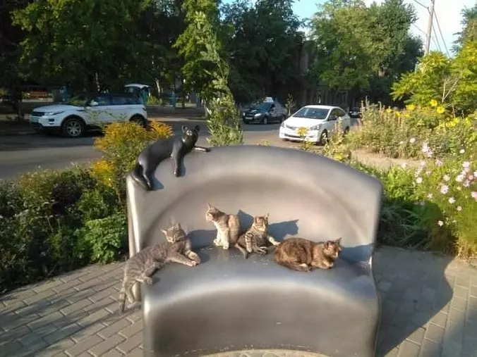 Sitting On A Park Bench