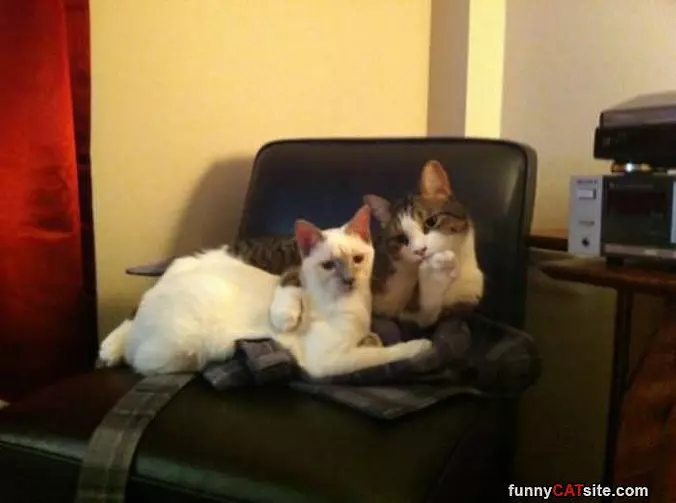 Chilling Out Together