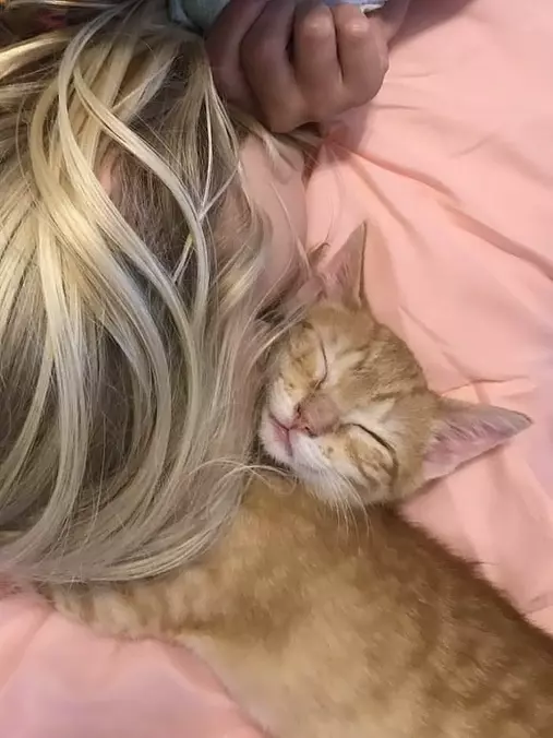 Big Cuddles