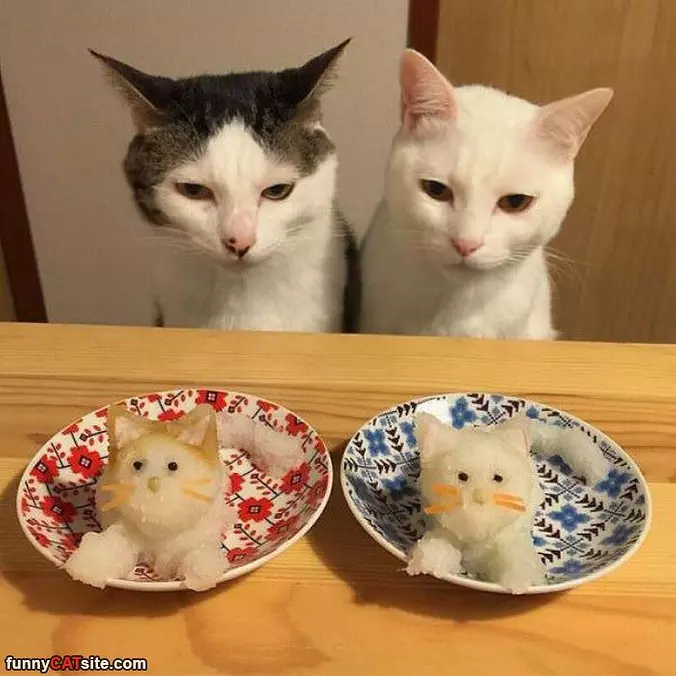 What Are We Eating