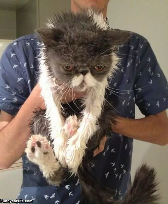 I Really Hate Baths
