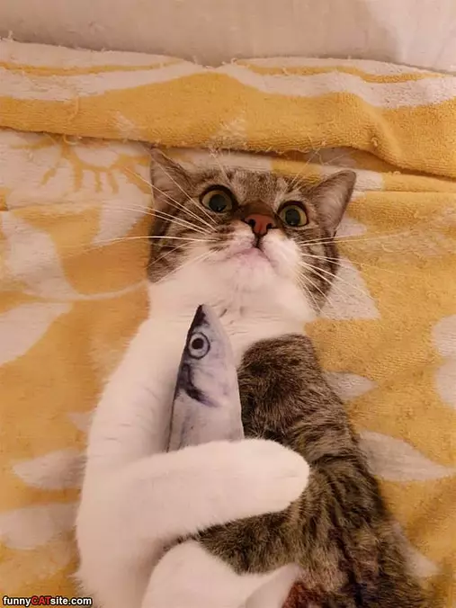 Hugging My Fish