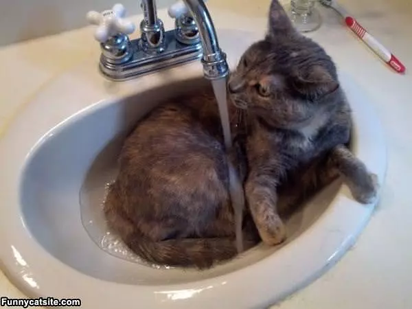 Water Attack
