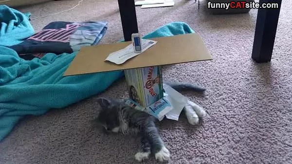 Do Not Wake Me