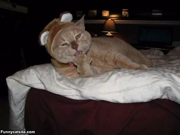 This Is Mah Pillow