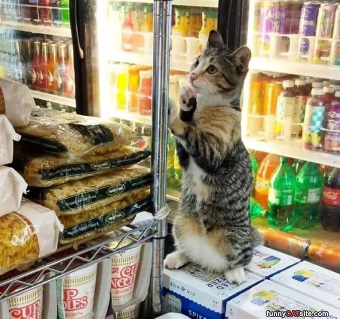 Hmmm