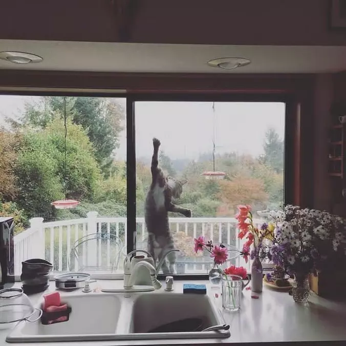 Hanging Out Over Here