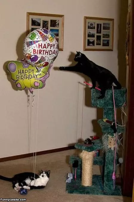 Its A Birthday Party