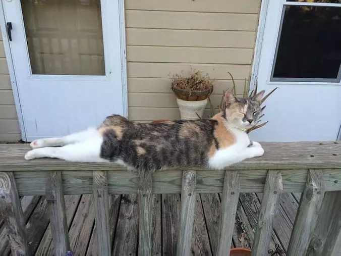 Yea This Is Relaxing