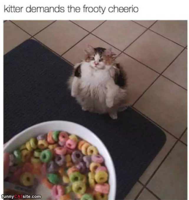 I Demands It