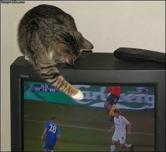 Soccer