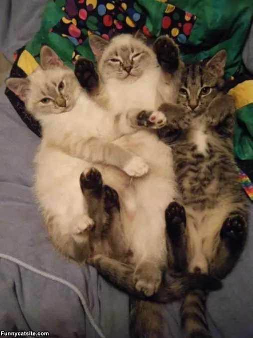 All Staying Warm