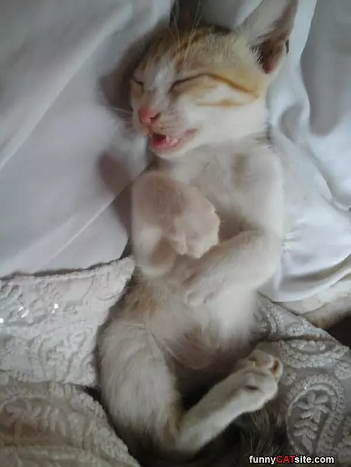 Julie Sleeping