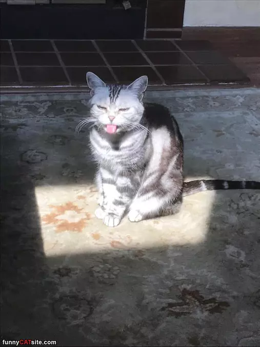 The Sun Tastes Good