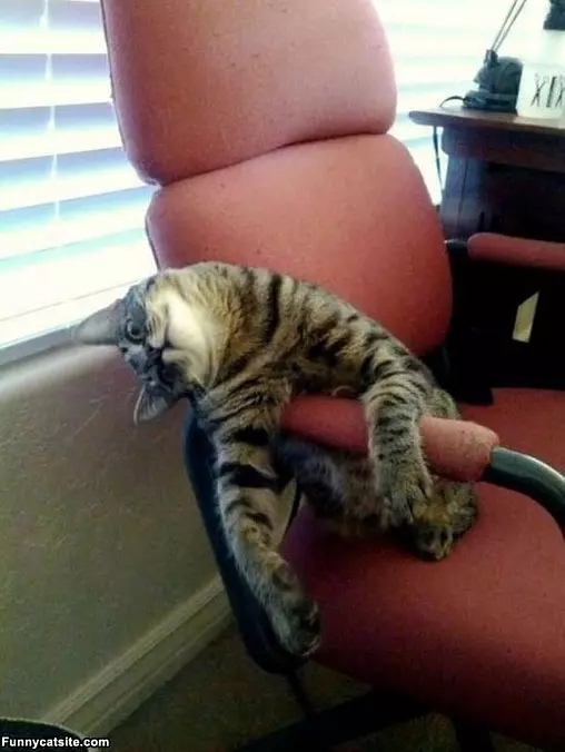 Busy Day At The Office