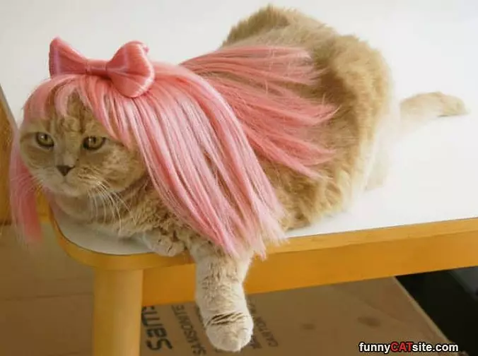 Got My Hair Done
