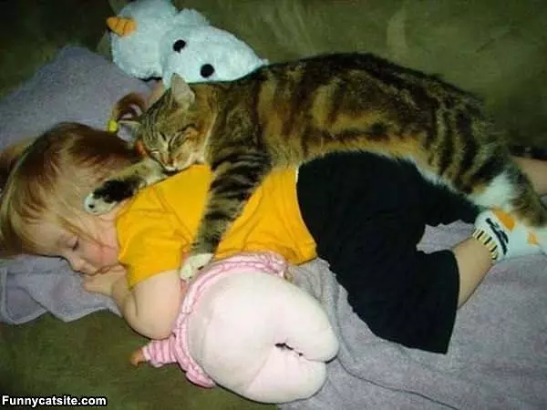 This Is My Body Pillow