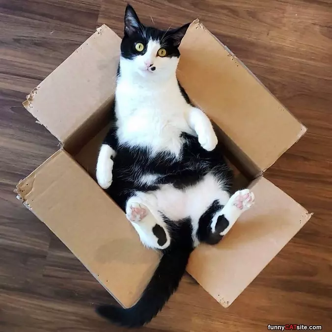Heyyyo