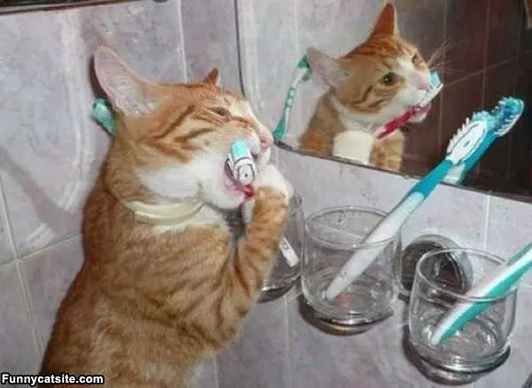 Brushing My Teeth