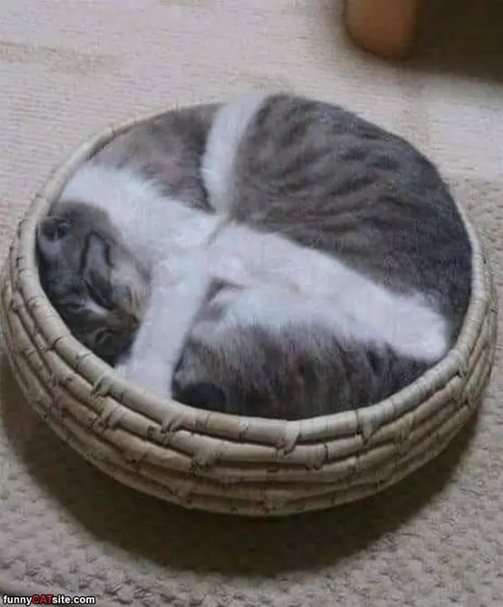 I Am A Circle Now