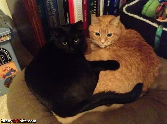This Is A Warm Spot