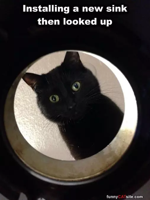 Installing A New Sink