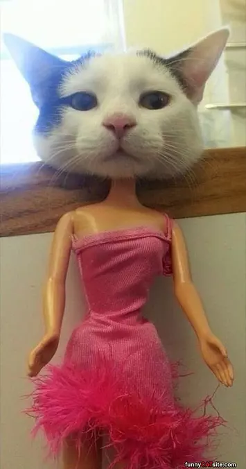 Im A Barbie Girl