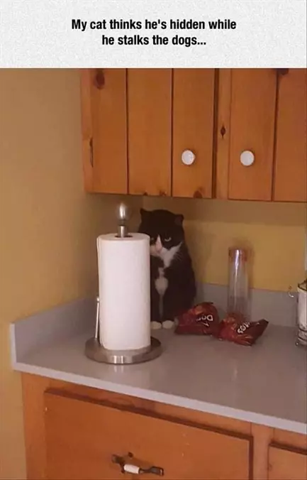 Nobody Will Find Me Here
