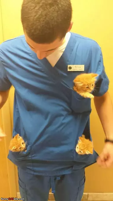 All The Pockets Are Filled