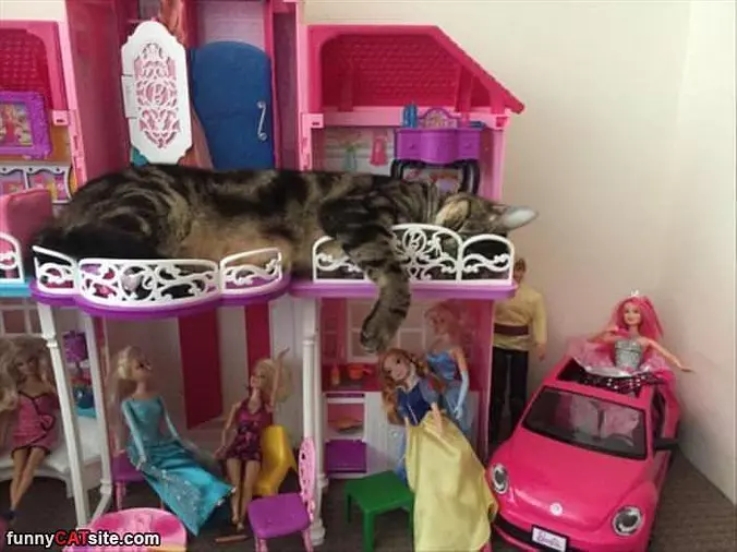 This Doll House Is Great