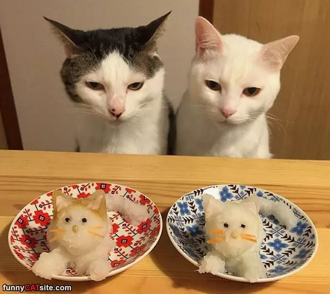 Good One Human