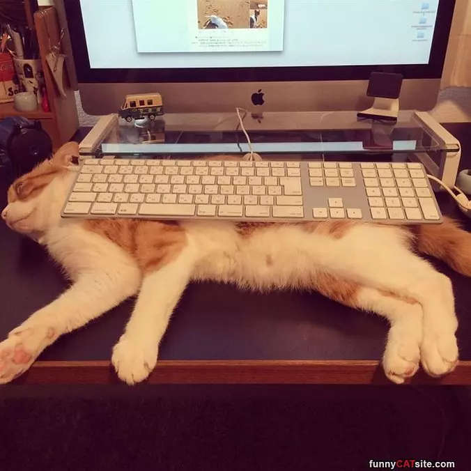 This Is My Lifenow