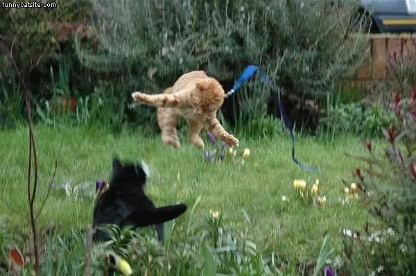 Jump Attack