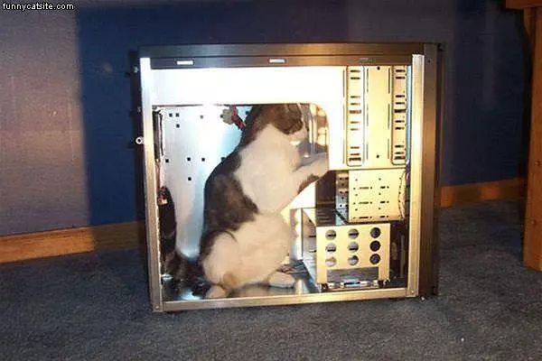 Computer Repair