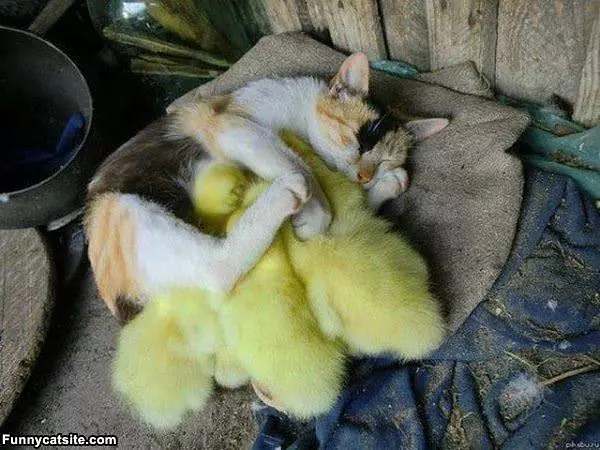 All Staying Warm