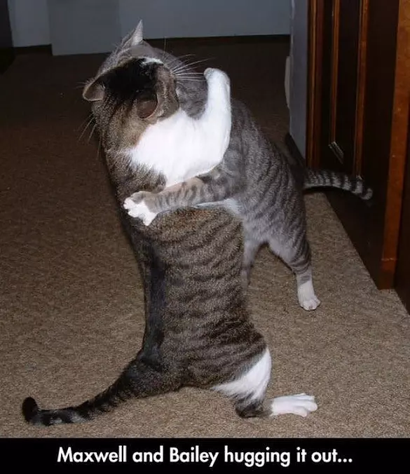 Hugging It Out