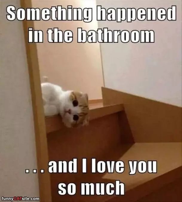 Something Happened