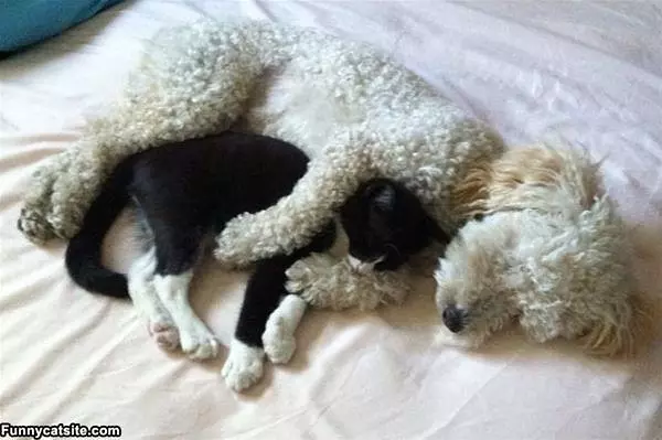 How We Keep Warm