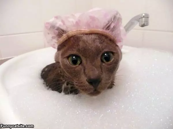Keeping My Ears Dry