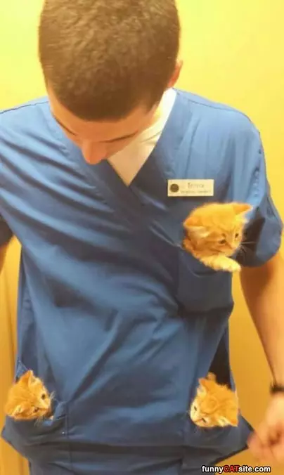 The Cat Man