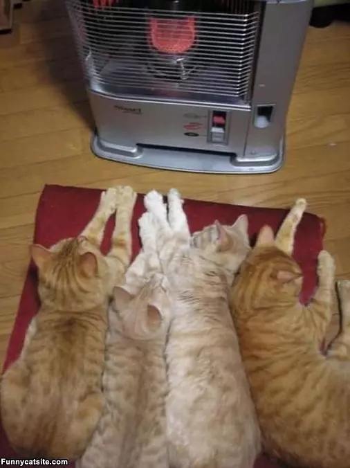 Staying Warm