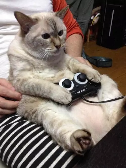 Playing Some Video Games